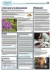 Ego pagina 3
