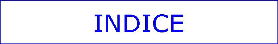 Casella di testo: INDICE